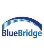 BlueBridge Networks, LLC